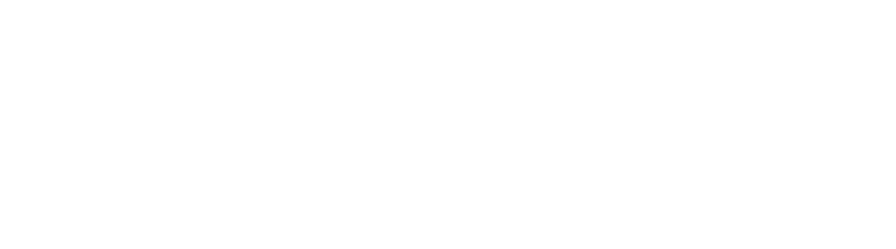 Logo MAGIS ENERGIA