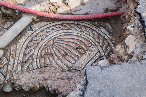 particolare mosaico romano rinvenuto