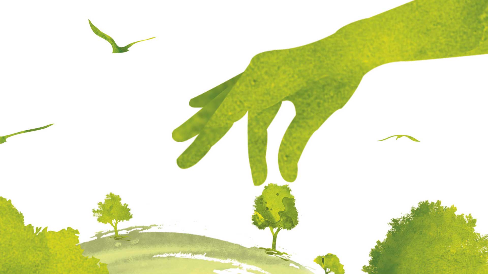 Report di sostenibilità 2022, immagine di una grande mano verde che coglie un albero