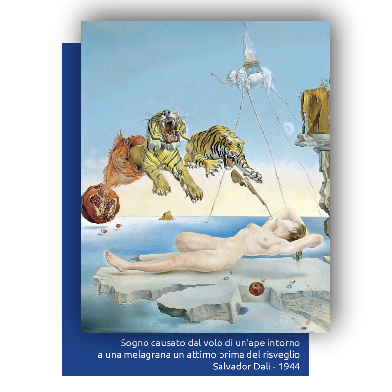 Ritratto Dalì, Sogno cauato dal volo di un'ape intorno a una melagrana un attimo prima del risveglio